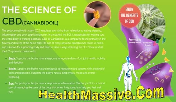 David Suzuki CBD Tincture Gummies